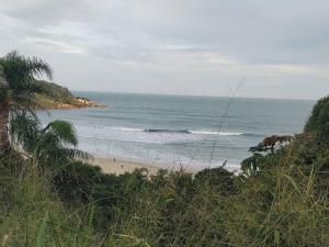 Joy Joy Praia do Rosa