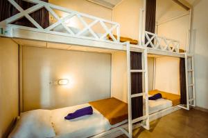 The Commotion Canggu