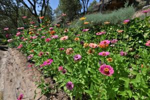 Allotjament Rural Solsona