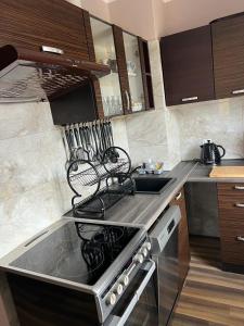 Apartament "U OLI"