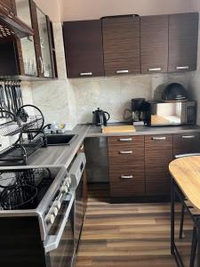 Apartament "U OLI"