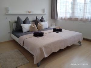 Zoé Apartman Debrecen Nagyerdő