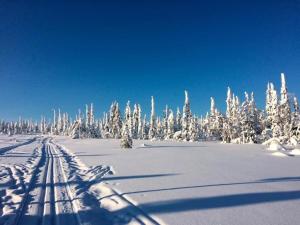 Holiday Club Kuusamon Tropiikki Entire Apartment