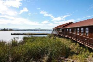 obrázek - Charming Hideaway Overlooking The Astoria Waters