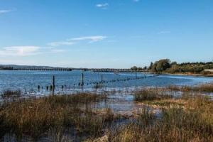 Historic Astoria Waterfront Views Vintage Vibes