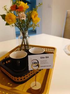 Gite BA2 Epernay Centre vue sur parc