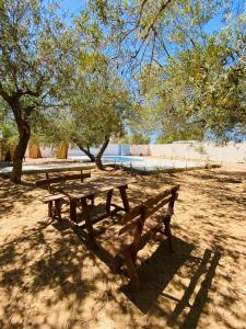 Maison Les Oliviers avec piscine proche du lagon
