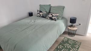 Appartements Studio entierement renove proche gare : photos des chambres
