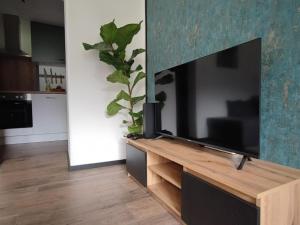 Apartment Mayrhofen near Horbergbahn