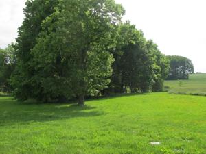 Maisons de vacances Gite Cindre, 3 pieces, 4 personnes - FR-1-489-149 : photos des chambres