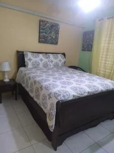 Elegant & Stylish 2BR New Kingston - Half Way Tree
