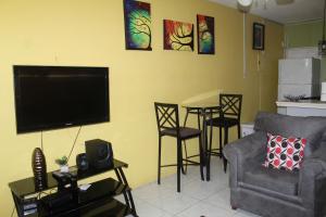 Elegant & Stylish 2BR New Kingston