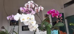 Casa Orquidea Hostal Barichara