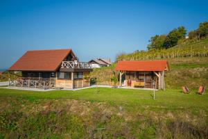 Vineyard Cottage Grajska Kašča - Happy Rentals