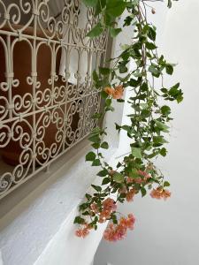 Private house Riad Arlette exclusive