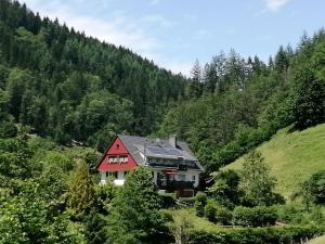 obrázek - Apartment in Oppenau near Black Forest National Park