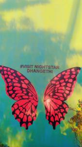 Night Star Dhangethi