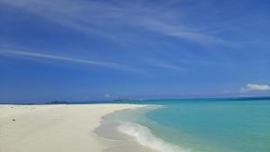 Night Star Dhangethi