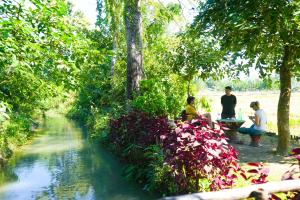 Wild Planet Eco Retreat