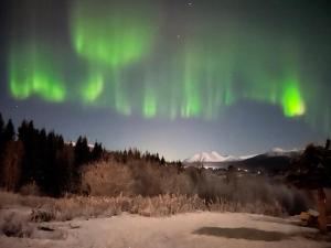 Martas Home-cozy appartment near the Airport