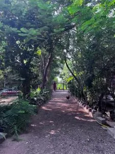 Sharad Baug homestay - Mandvi