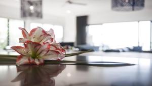 Macmasters Coastal Retreat - Heated Pool