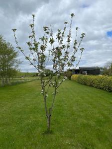 Breathnach Cottage Annexe Knockleagha Ballina F26 D7E2