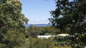 Anthonys Treehouse by the Beach