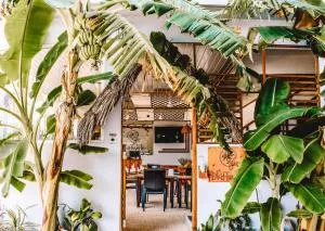 Dhiffushi Inn - 图鲁斯杜