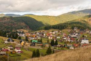 Карпати Плай Village