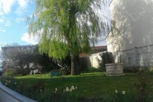 Appartements appartement de 50m2 grand et spacieux avec jardin : photos des chambres