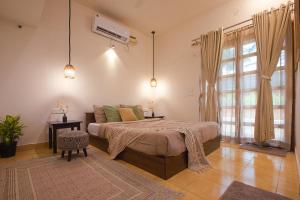 Woodpegger By The Beach, Mandrem