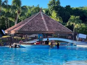 cœur d hibiscus P&V - 莱特鲁瓦西莱