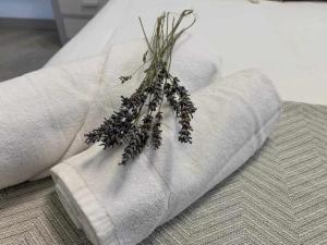 Apartamento El Rinconzuelo