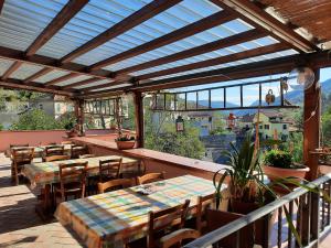 Agriturismo del Ponte "pomelo"