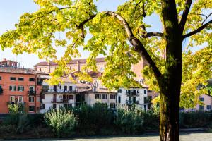 Appartamento con 1 Camera da Letto