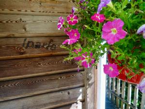 Maisons de vacances Les Chalets Cobadena-Borda Pays Basque : Maison 1 Chambre