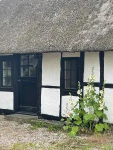 Charming Cottage Within Walking To Beach - Sædingeskov