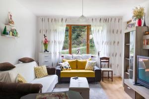 Mountain Apartment in Borovets Ski Resort