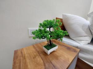 HOMEWOOD SUITES Jaipur