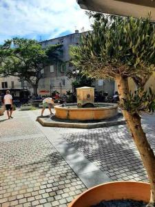 Appartements Saint florent /haute corse : photos des chambres