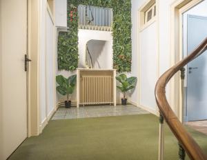 Résidence Chez Suzanne - Maison - Hypercentre