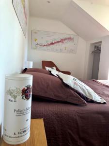 B&B / Chambres d'hotes Le jardin des Verottes : photos des chambres