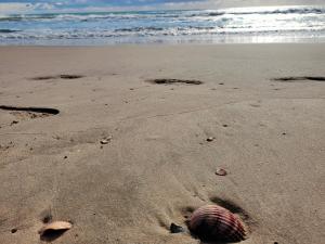 Appartements Studio 16 Le Cap d'Agde avec Parking prive proche du centre : photos des chambres