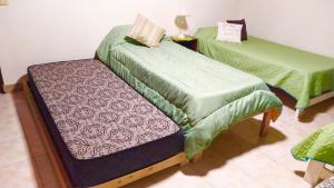 ApartamentsLouis