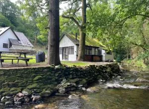 Cuckoo Cabin, Tyn Y Cwm - Scyborycoed