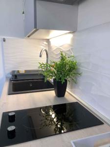 Apartment in Primosten - Sibenik Riviera 35564