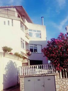 Apartment in Primosten - Sibenik Riviera 36075