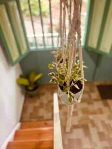 La Casa de colour Filandia, Quindio