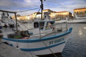 Appartements ''Luigi'' BALCON SUR LA MER et le Port de Sete : photos des chambres